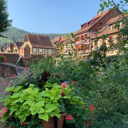 Studio Cosy Kaysersberg Centre Exteriör bild