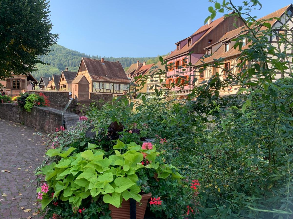 Studio Cosy Kaysersberg Centre Exteriör bild
